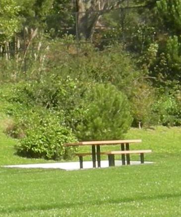 New Picnic Table