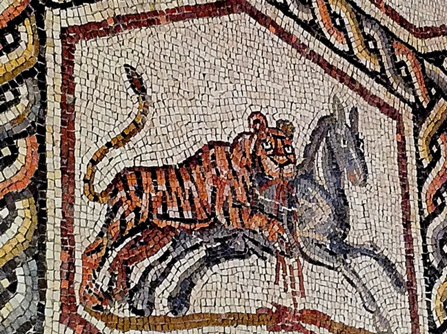 tiger in tesserae