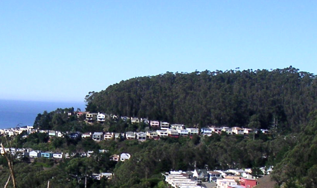 sutro-forest-south-view2