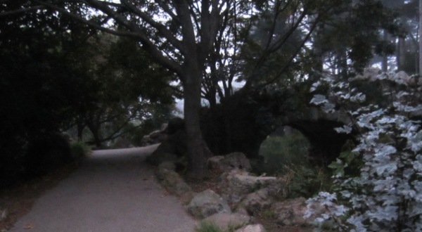 stow lake with hidden skunk
