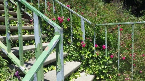 Glenhaven gardensteps