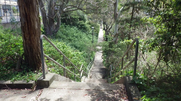 Thats a school to the left