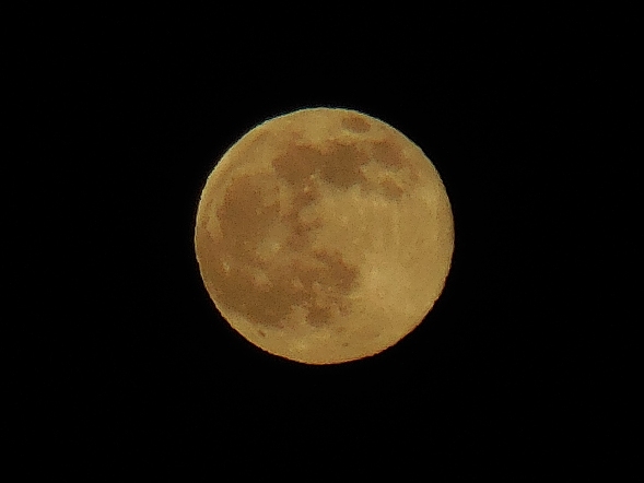 full moon june 2014