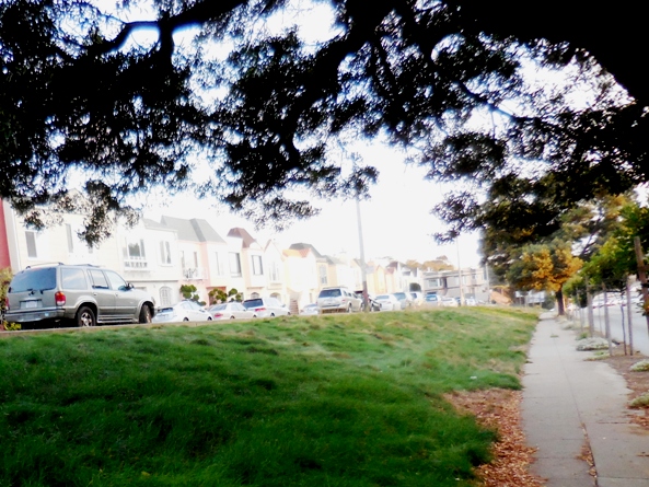 green grass and patchy grass - no mow fescue