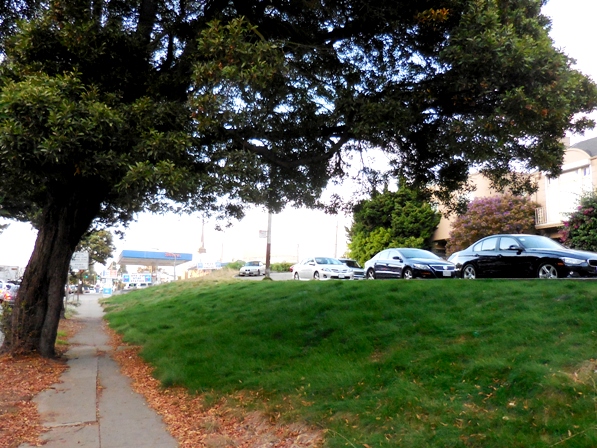 green under the tree