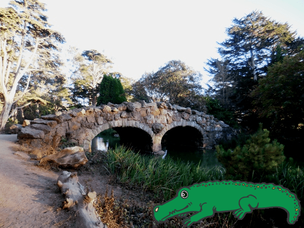 stow lake with alligator