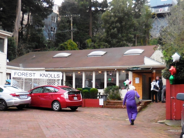 forest knolls winter party