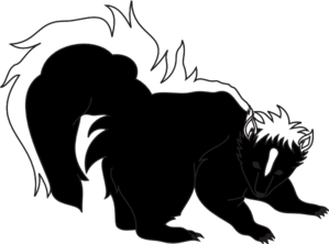 skunk 1