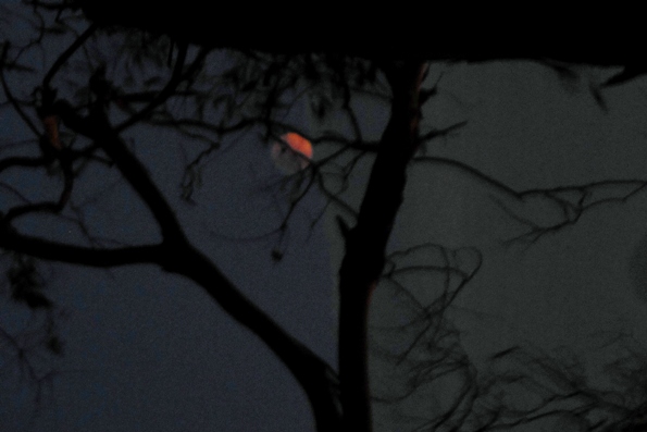 supermoon eclipse 7.47 pm