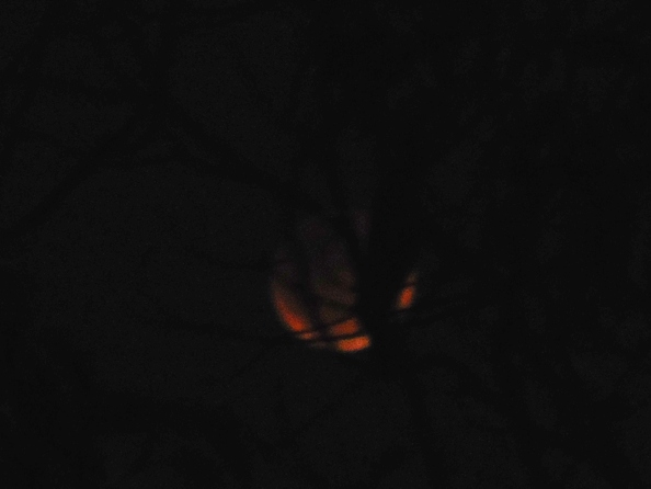 supermoon eclipse 8.01 pm